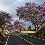 Haleakala highway