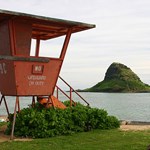 Mokoli'i Island  ( Chinaman Hat Island )