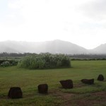 Kukaniloko Birthing Stones, Wahiawa, Oahu