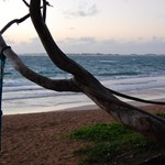 swings at malaekahana beach 
