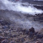 Volcano Steam Bluffs