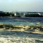 Surf compitation at Wiama Bay