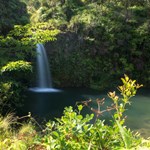Maui Waterfall on Hana Tour