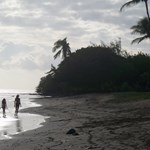 Olowalu State Reserve- Good  for snorkeling with family
