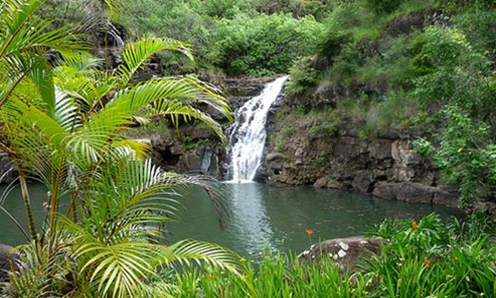 Waimea Waterfall And Circle Island Adventure Honolulu Oahu Hawaii
